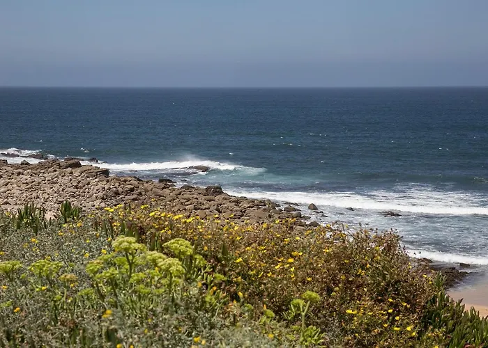 Casa de Férias Vista Espectacular Playa De Supertubos, Peniche Atouguia Da Baleia